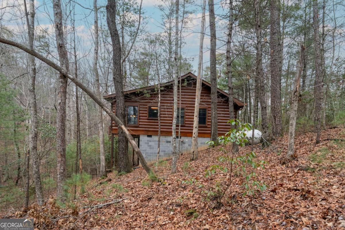 1165 Little Bushy Head Road # 220