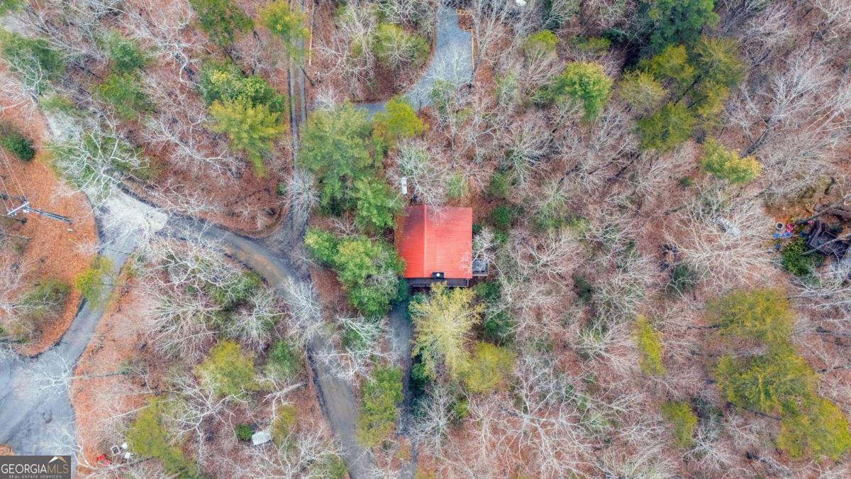 1165 Little Bushy Head Road # 220