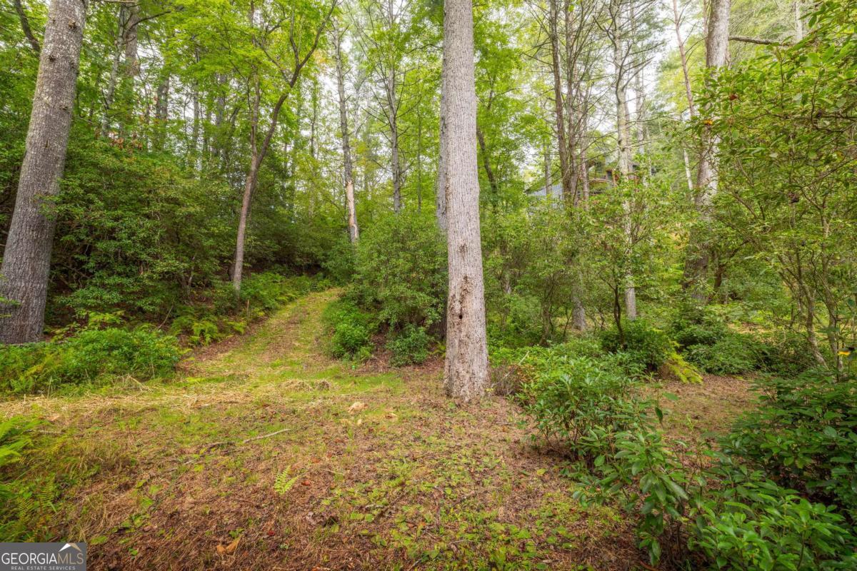 456 Whispering Pine Lane