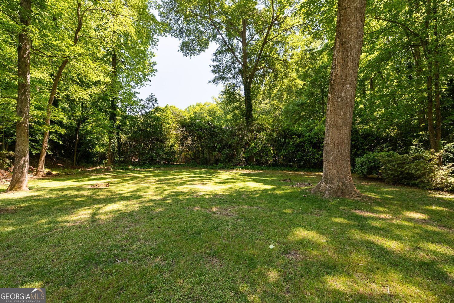 445 Forest Hills Drive NE