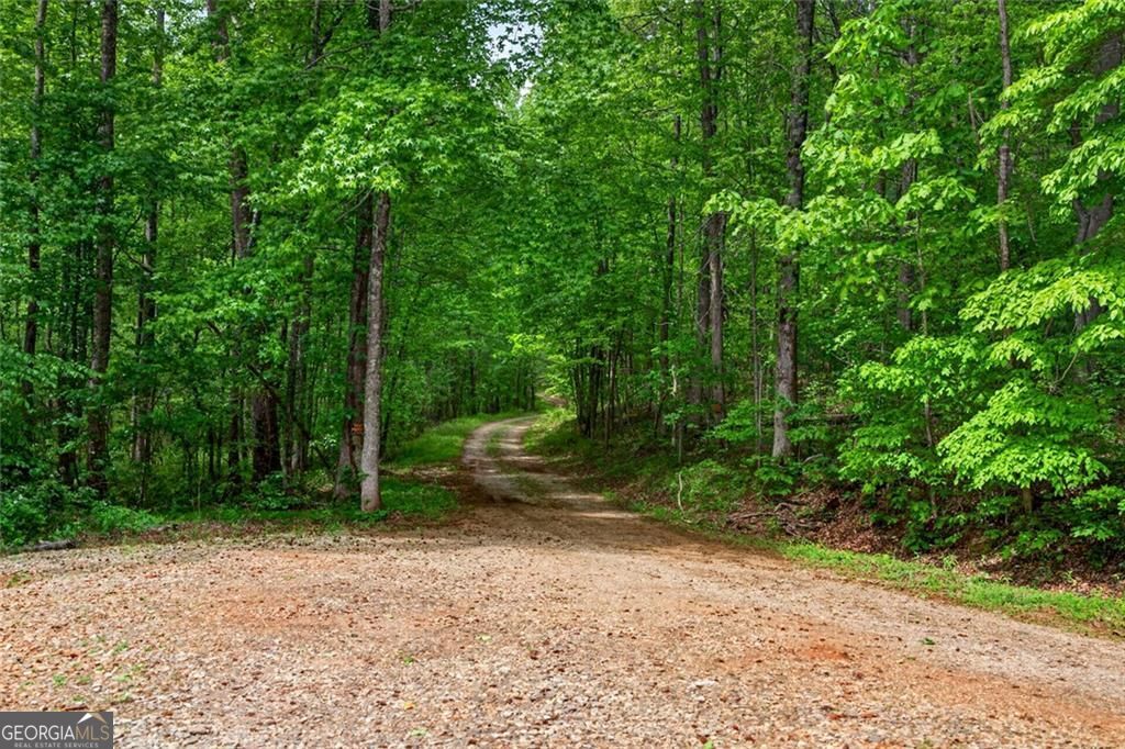 1 Thurmond Walker Road