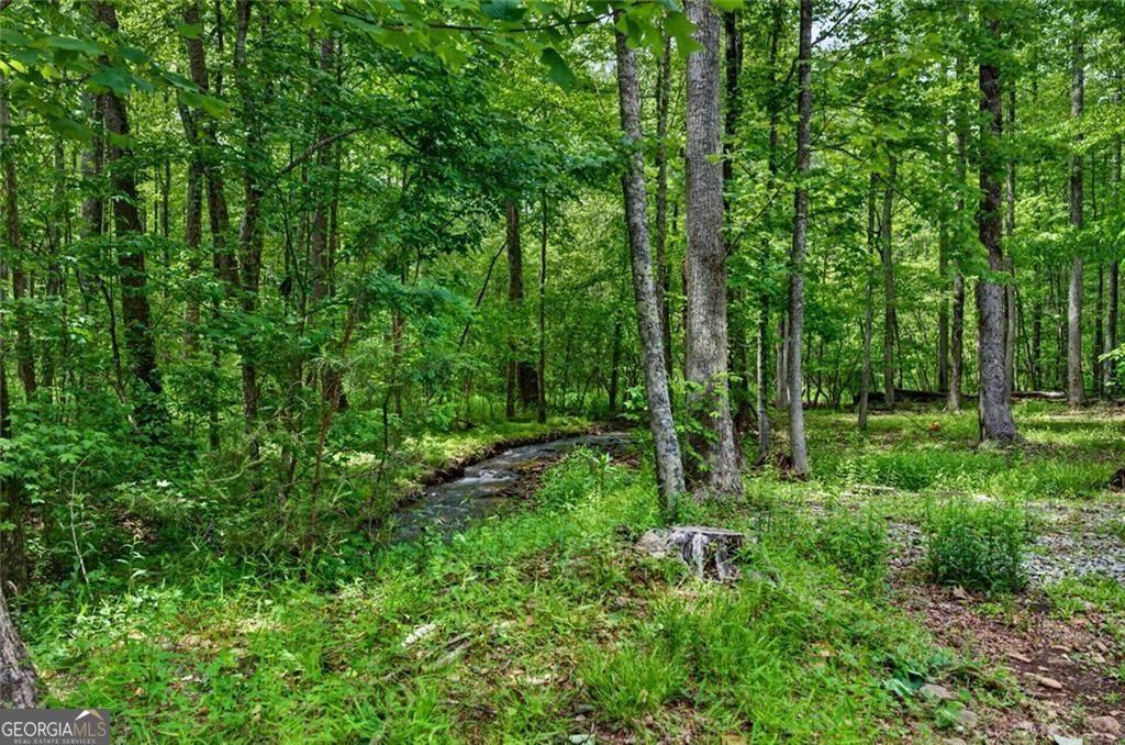 1 Thurmond Walker Road