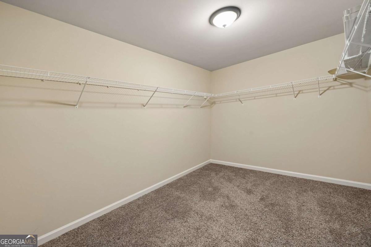 4289 Amberleaf Walk
