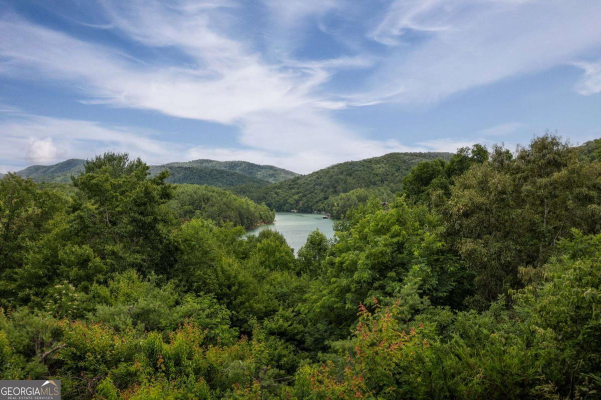 115 Necowa Cove Overlook