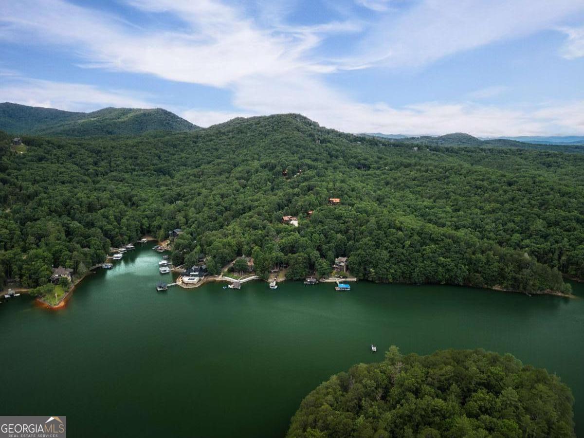 115 Necowa Cove Overlook