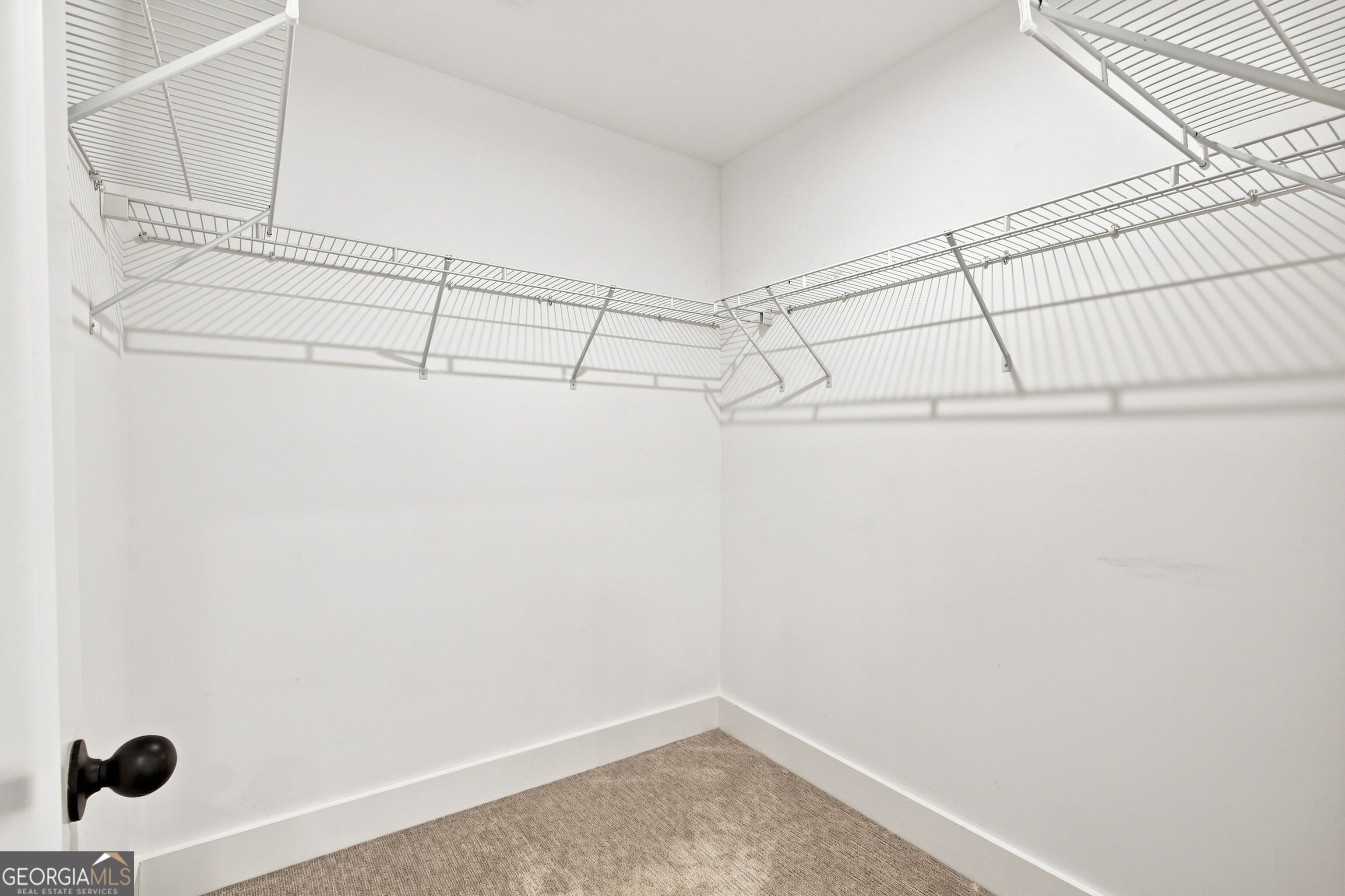 3401 Catalan Alley