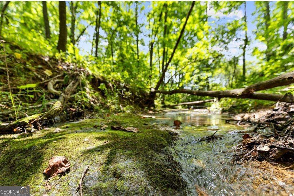120 Brookhaven Trail