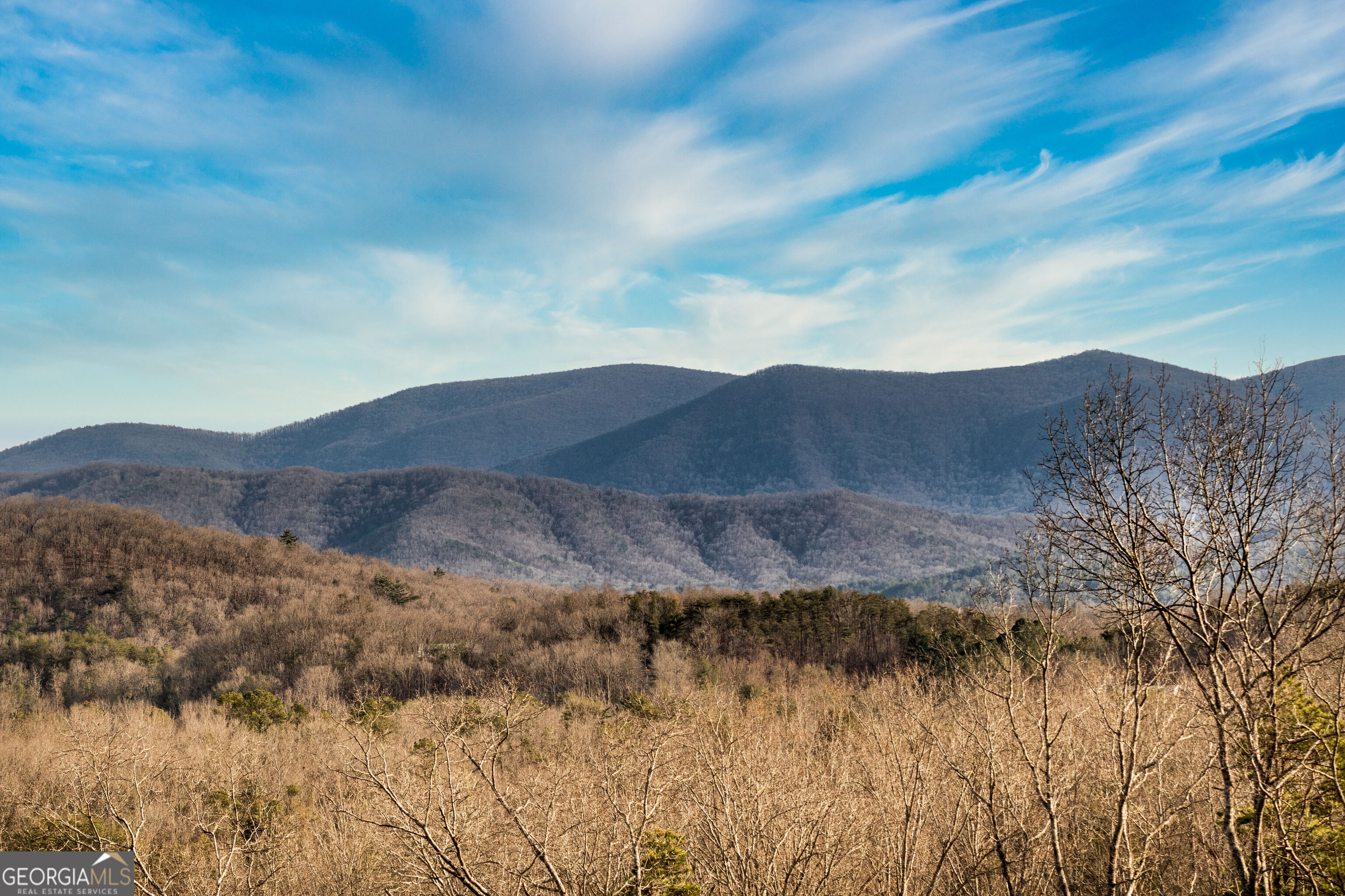 49 Chestnut Overlook # 11