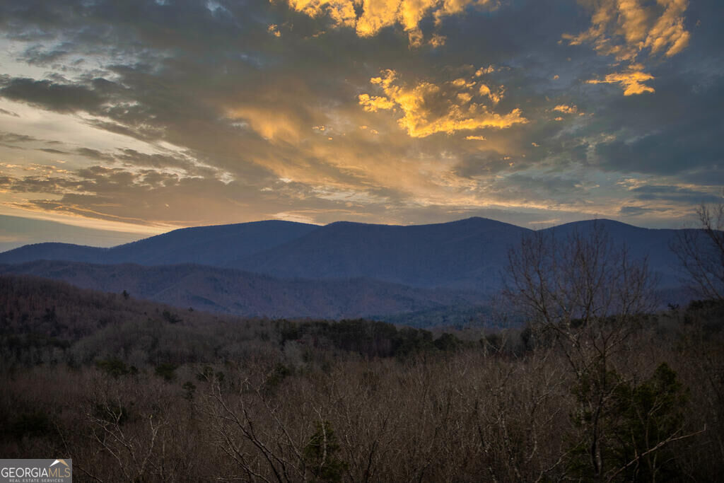 49 Chestnut Overlook # 11