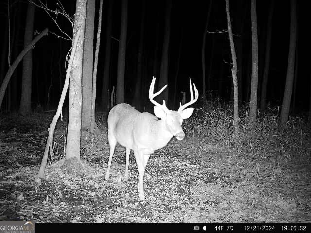 2 Seven Islands Road