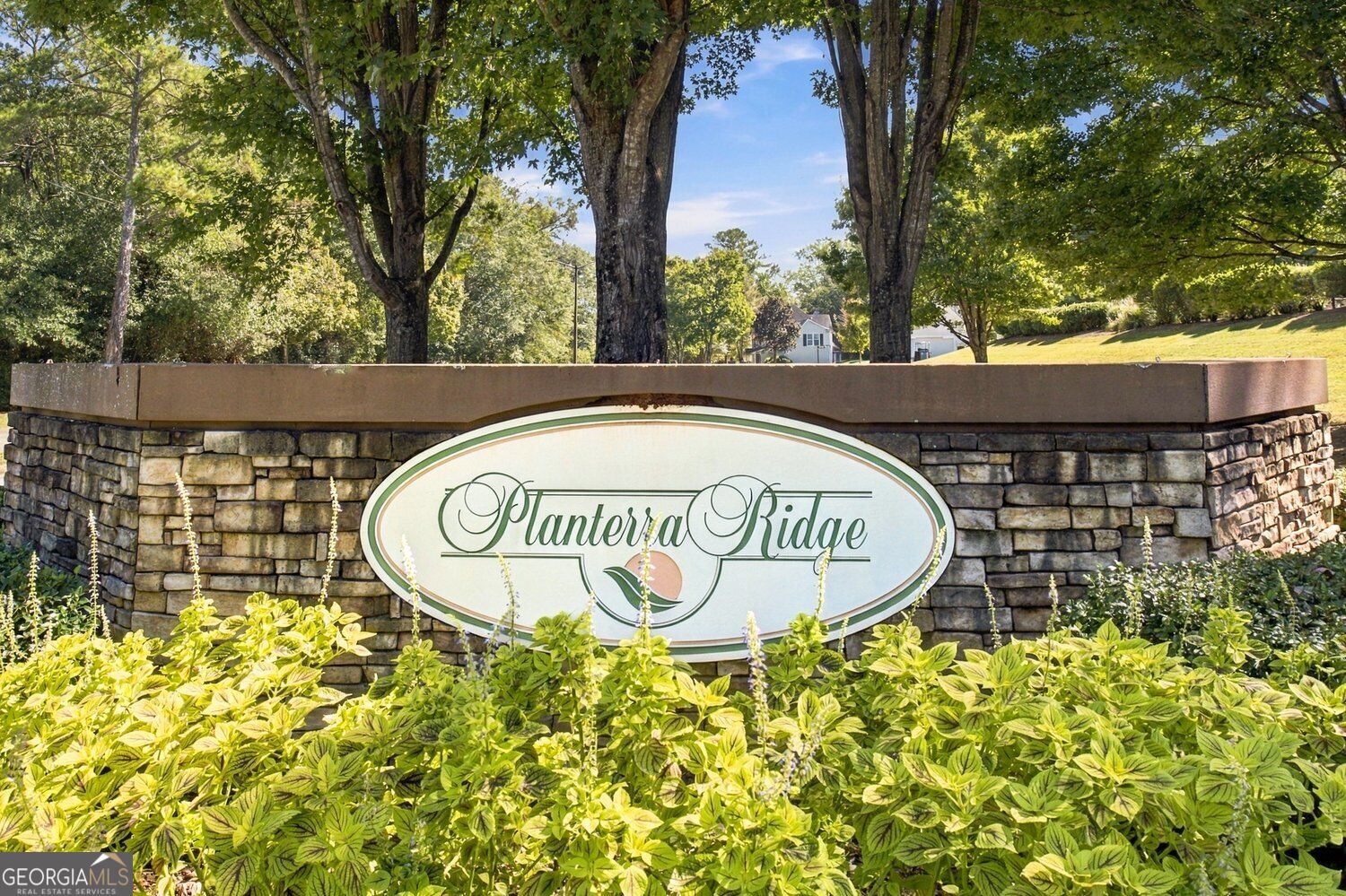 508 Terra Verte