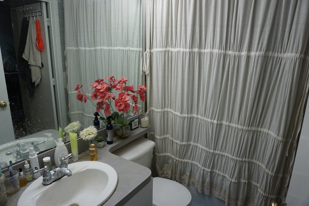 18 E Springfield Street # 1