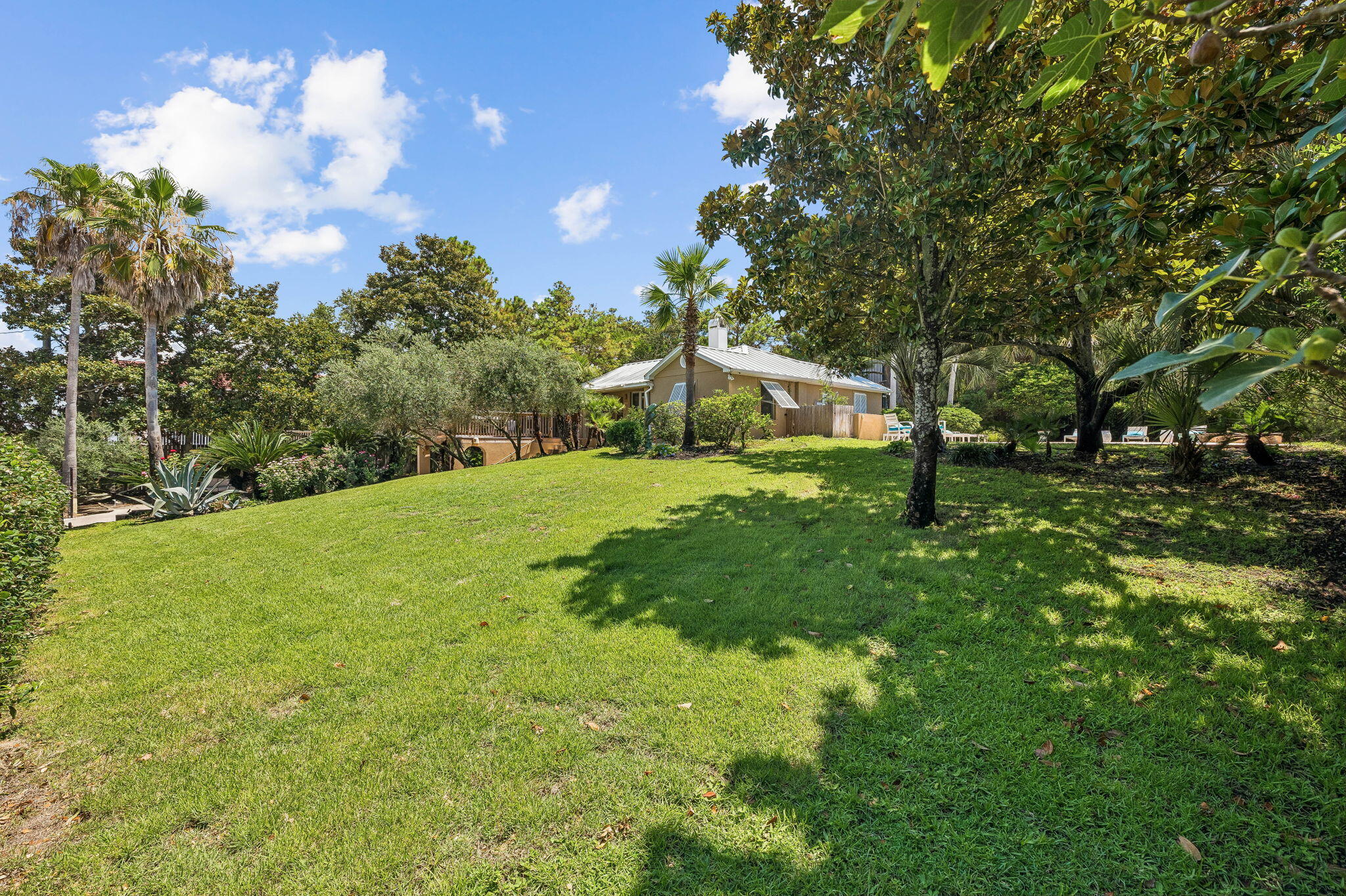 119 Norwood Drive