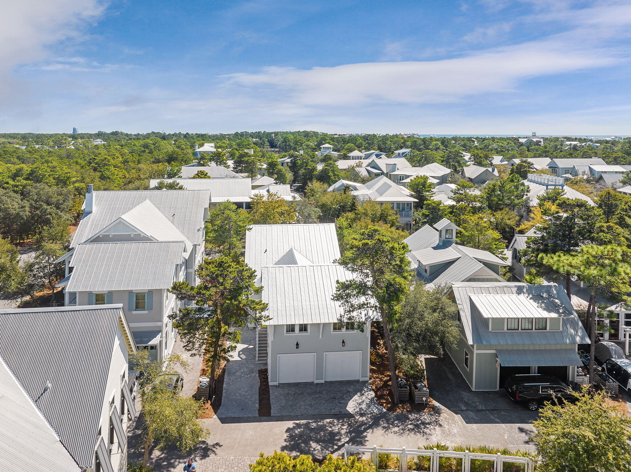 230 Needlerush Drive, Santa Rosa Beach