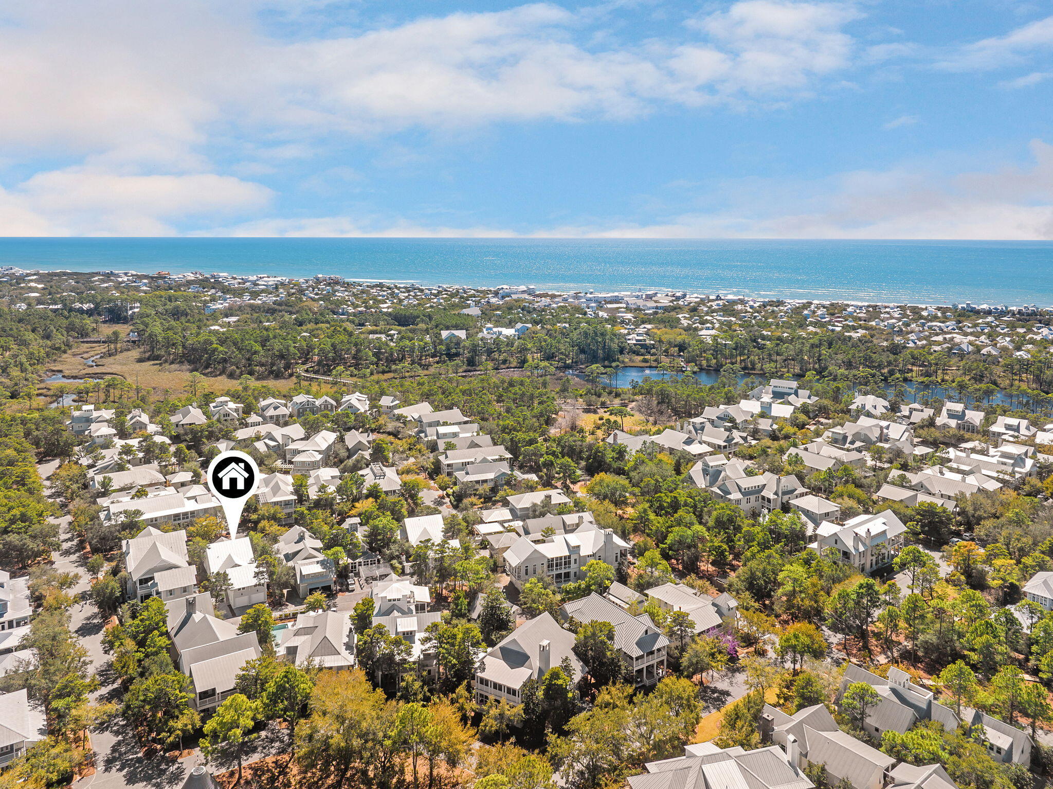 230 Needlerush Drive, Santa Rosa Beach