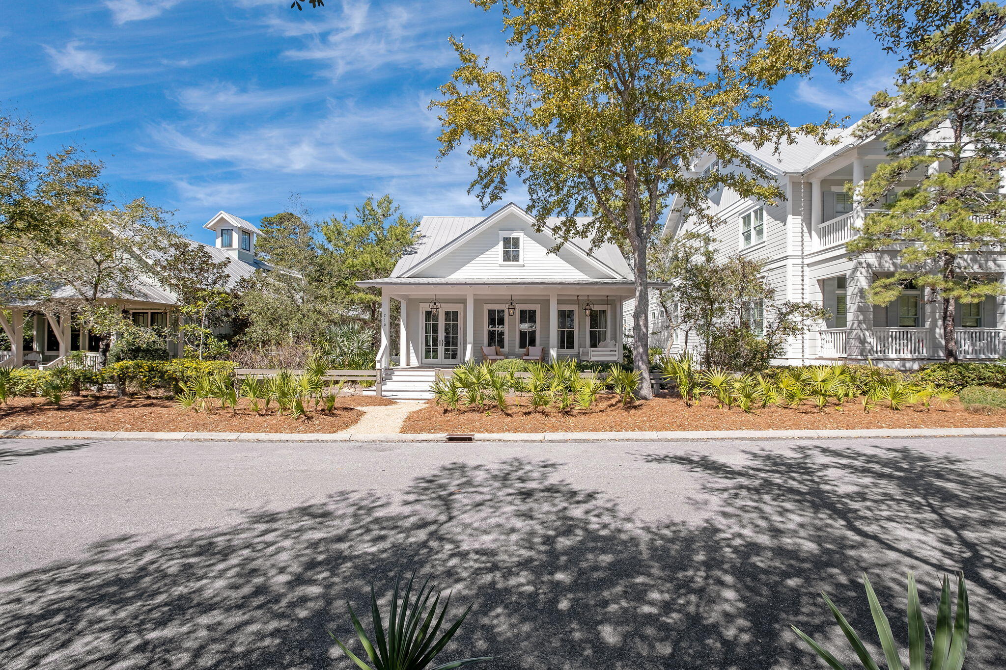 230 Needlerush Drive, Santa Rosa Beach