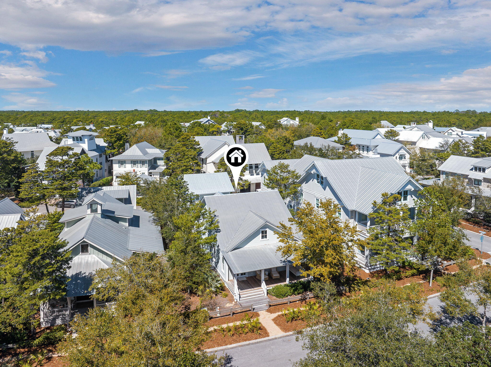 230 Needlerush Drive, Santa Rosa Beach