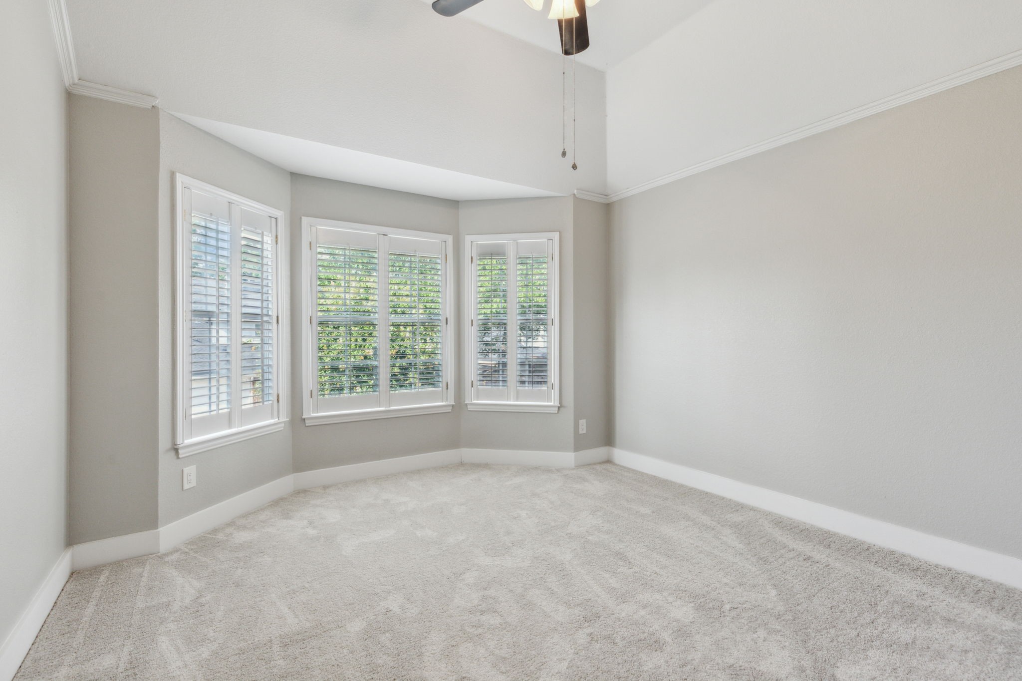 1107 Springfield Lane