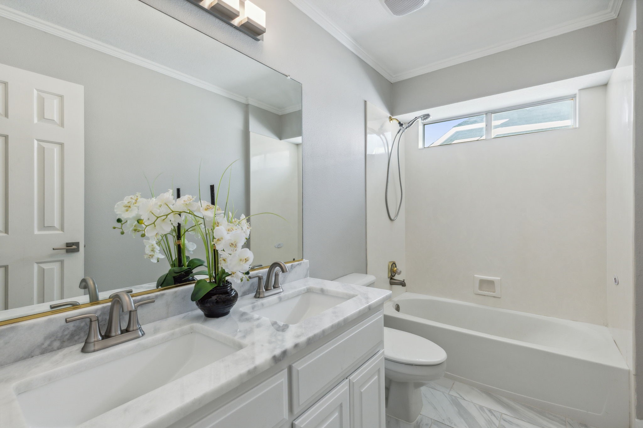 1107 Springfield Lane