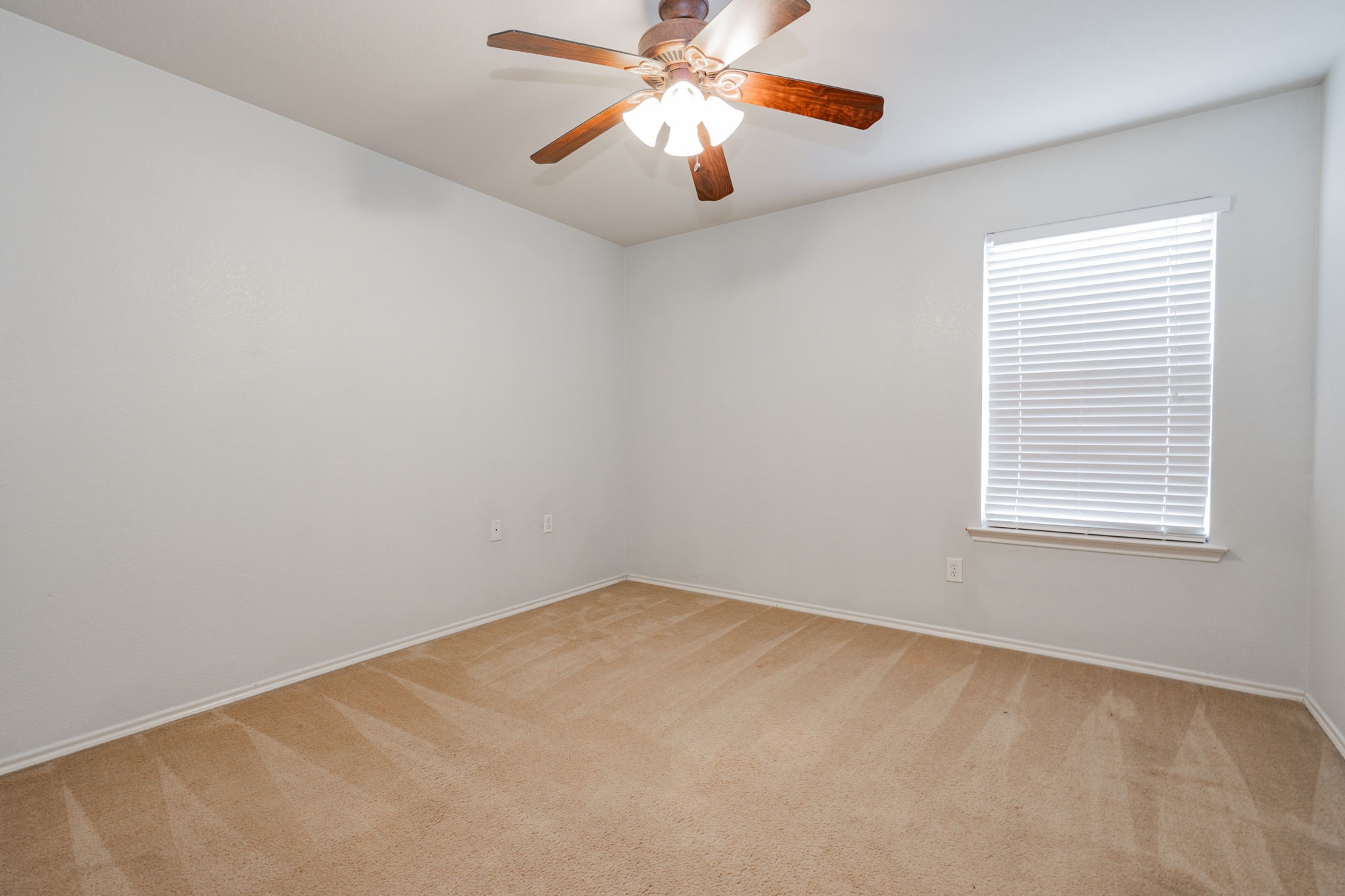 2901 Mockingbird Street