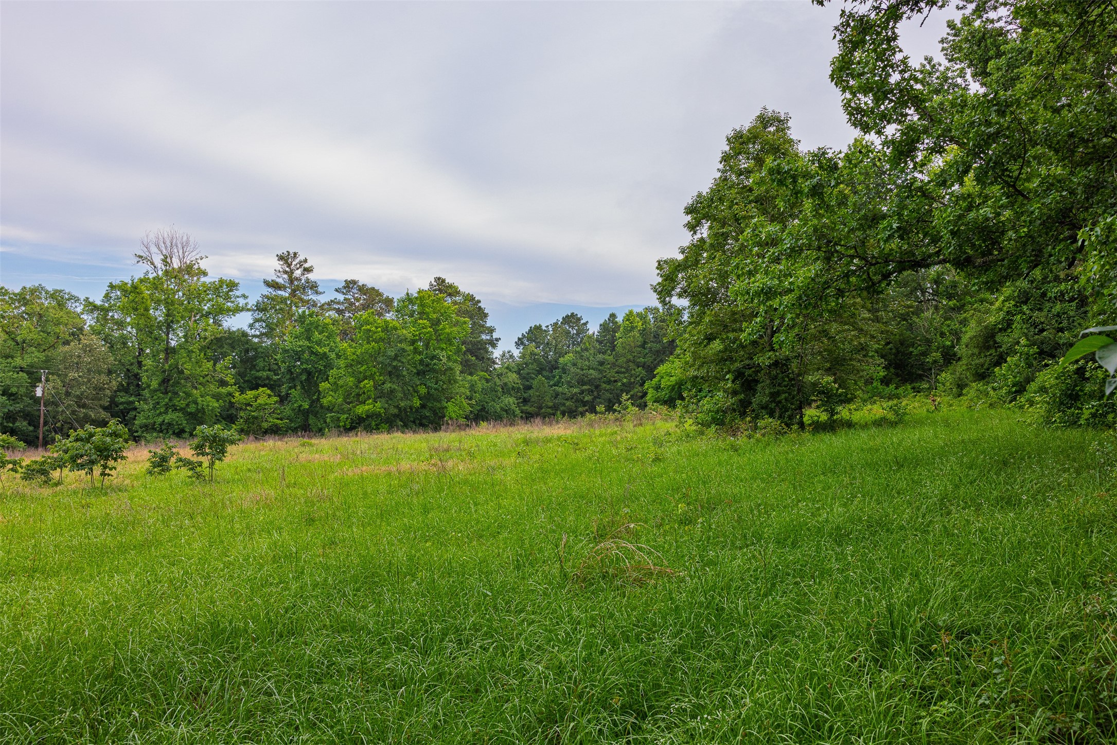 00 Anderson County Road 151