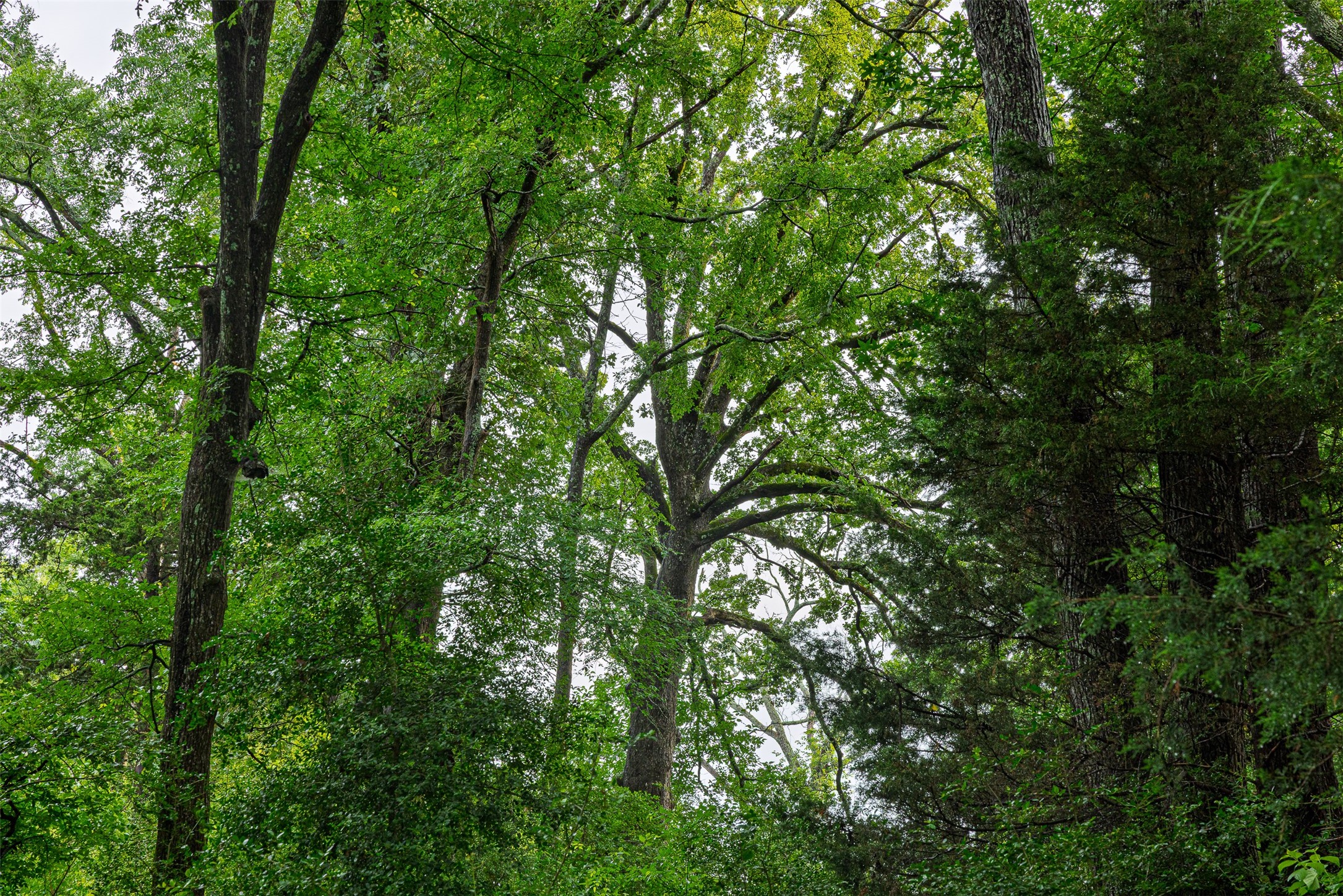 00 Anderson County Road 151