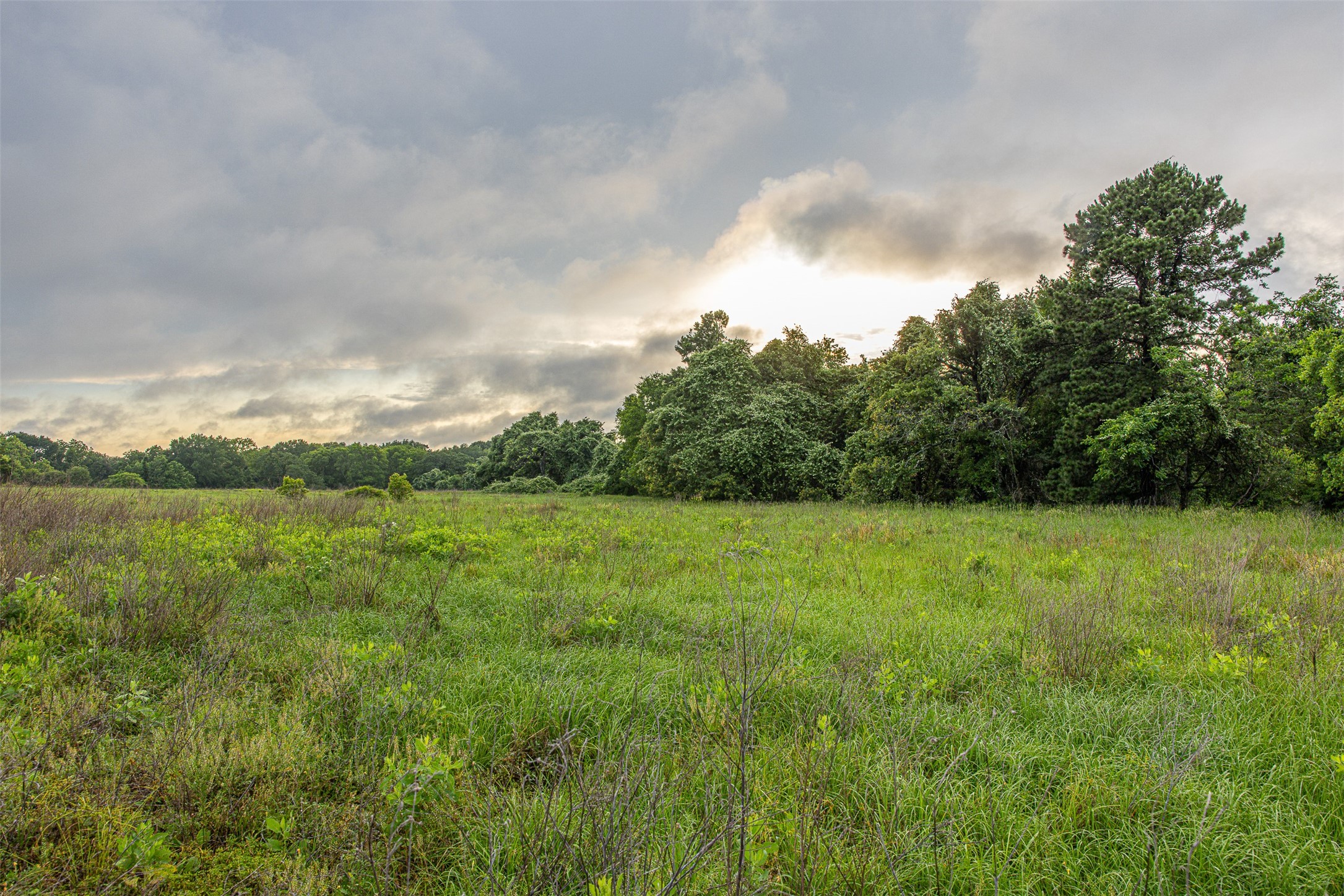 00 Anderson County Road 151