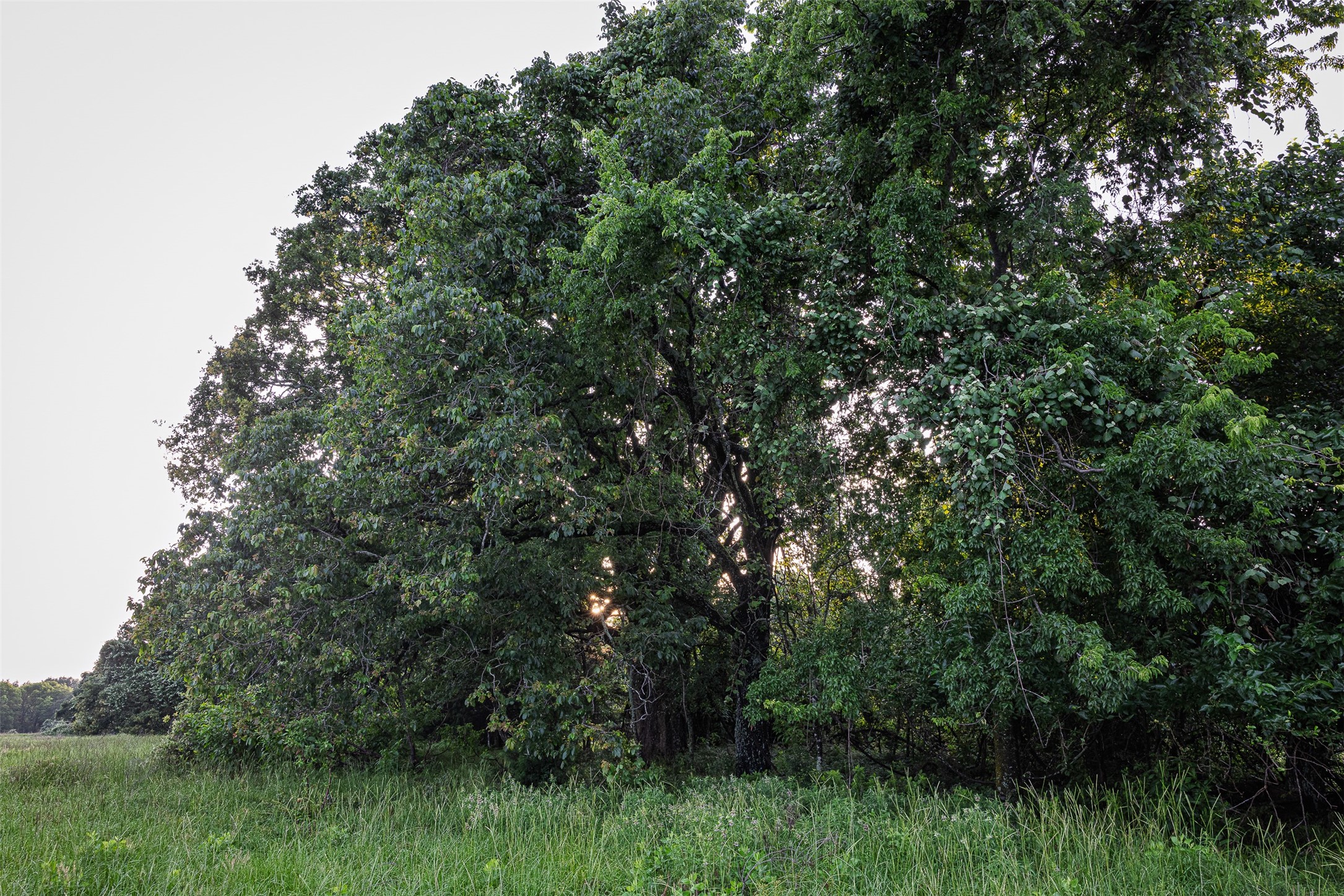 00 Anderson County Road 151