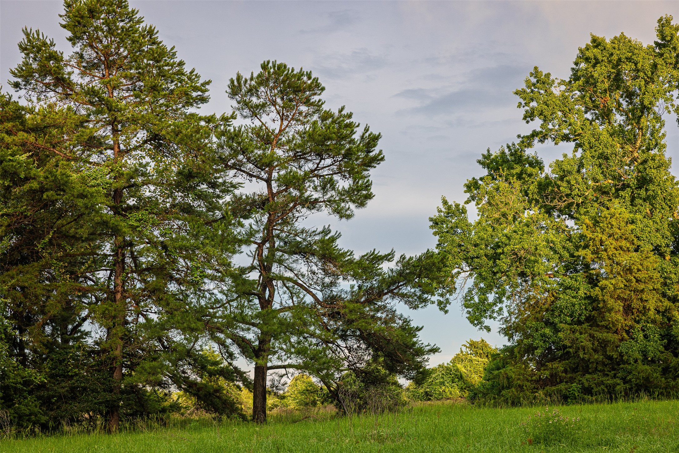 00 Anderson County Road 151