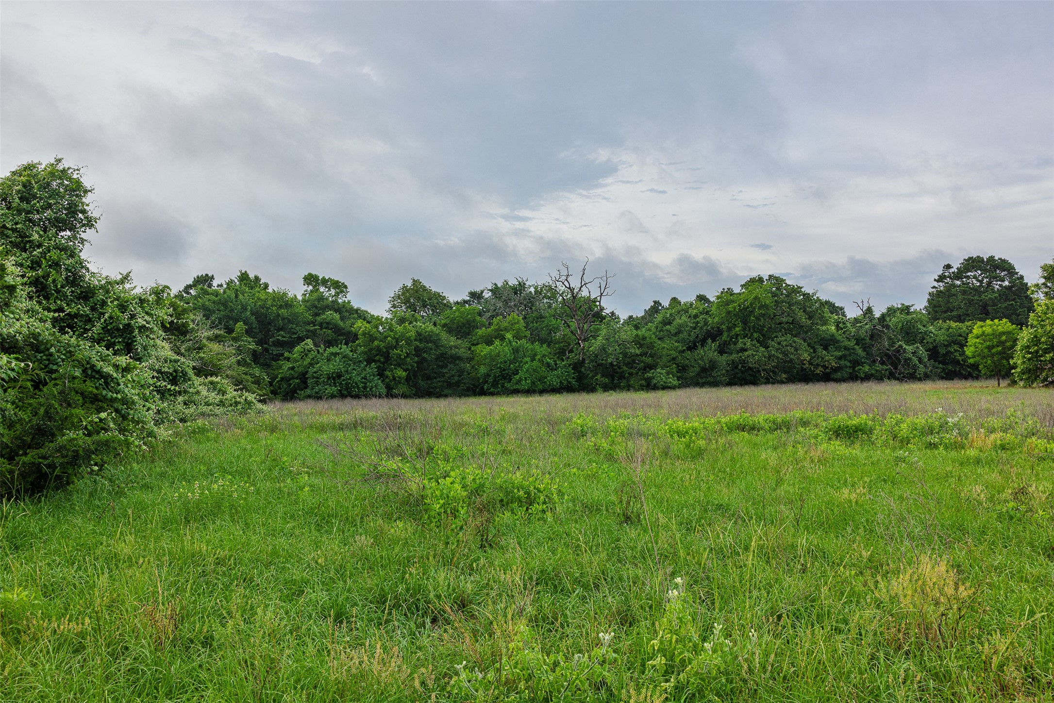 00 Anderson County Road 151