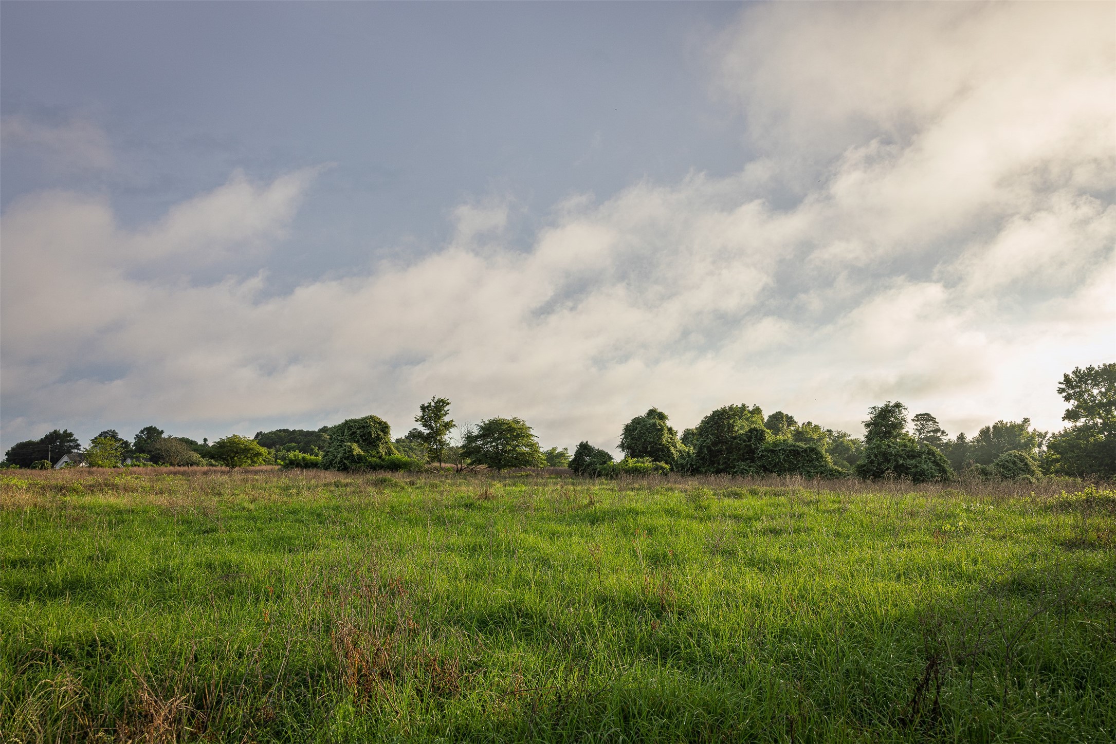 00 Anderson County Road 151