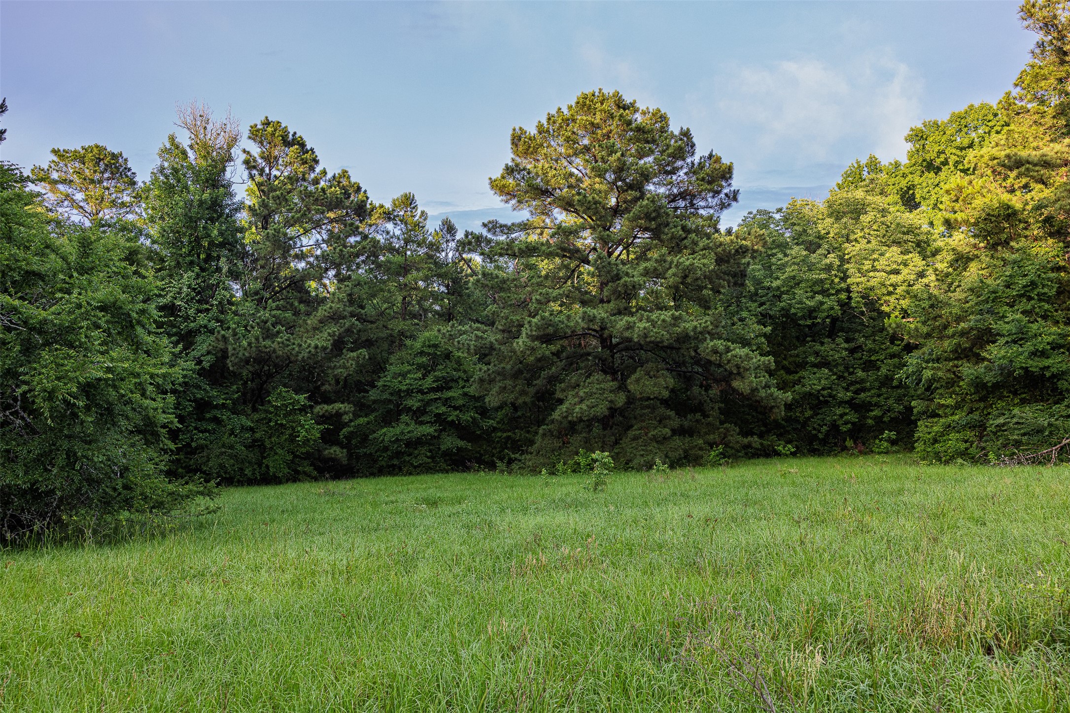 00 Anderson County Road 151