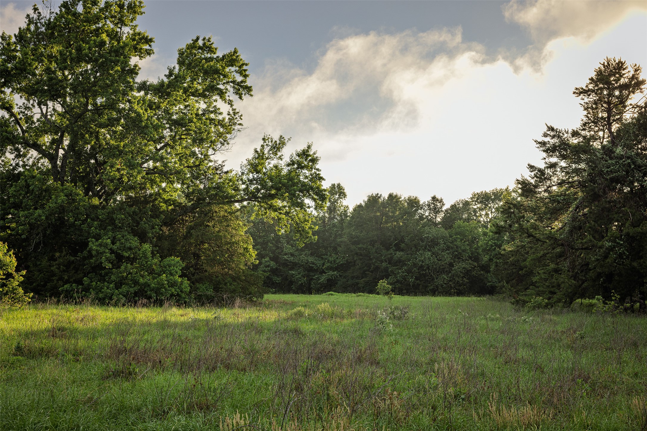 00 Anderson County Road 151