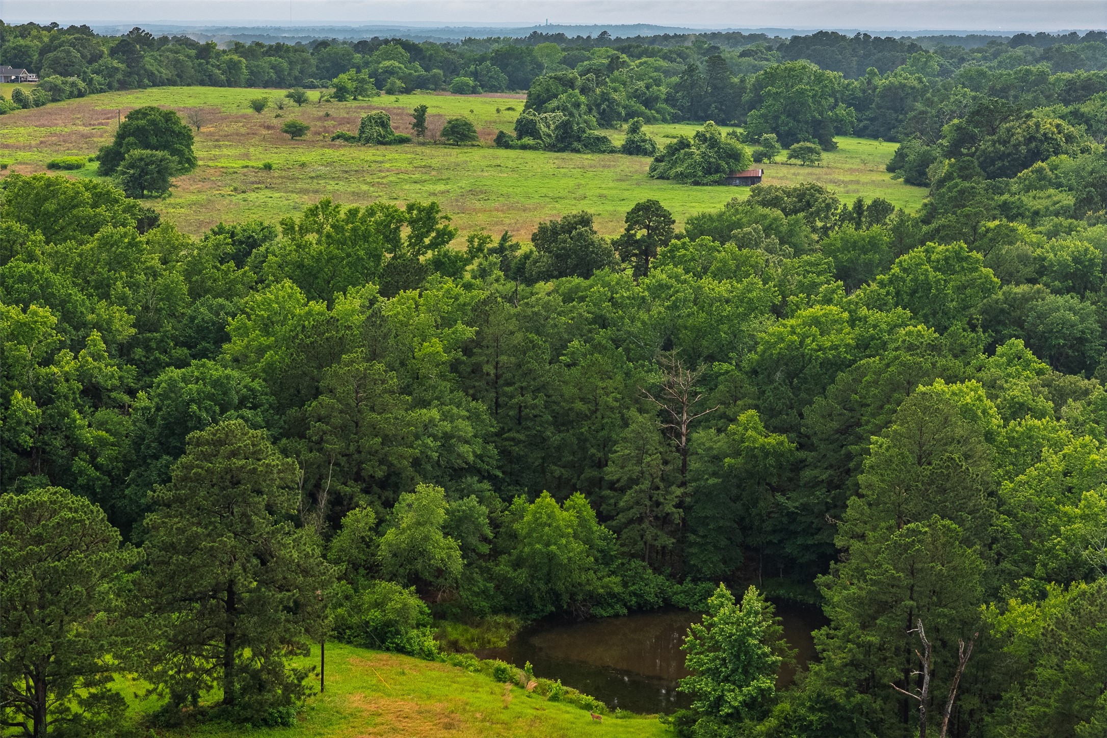 00 Anderson County Road 151