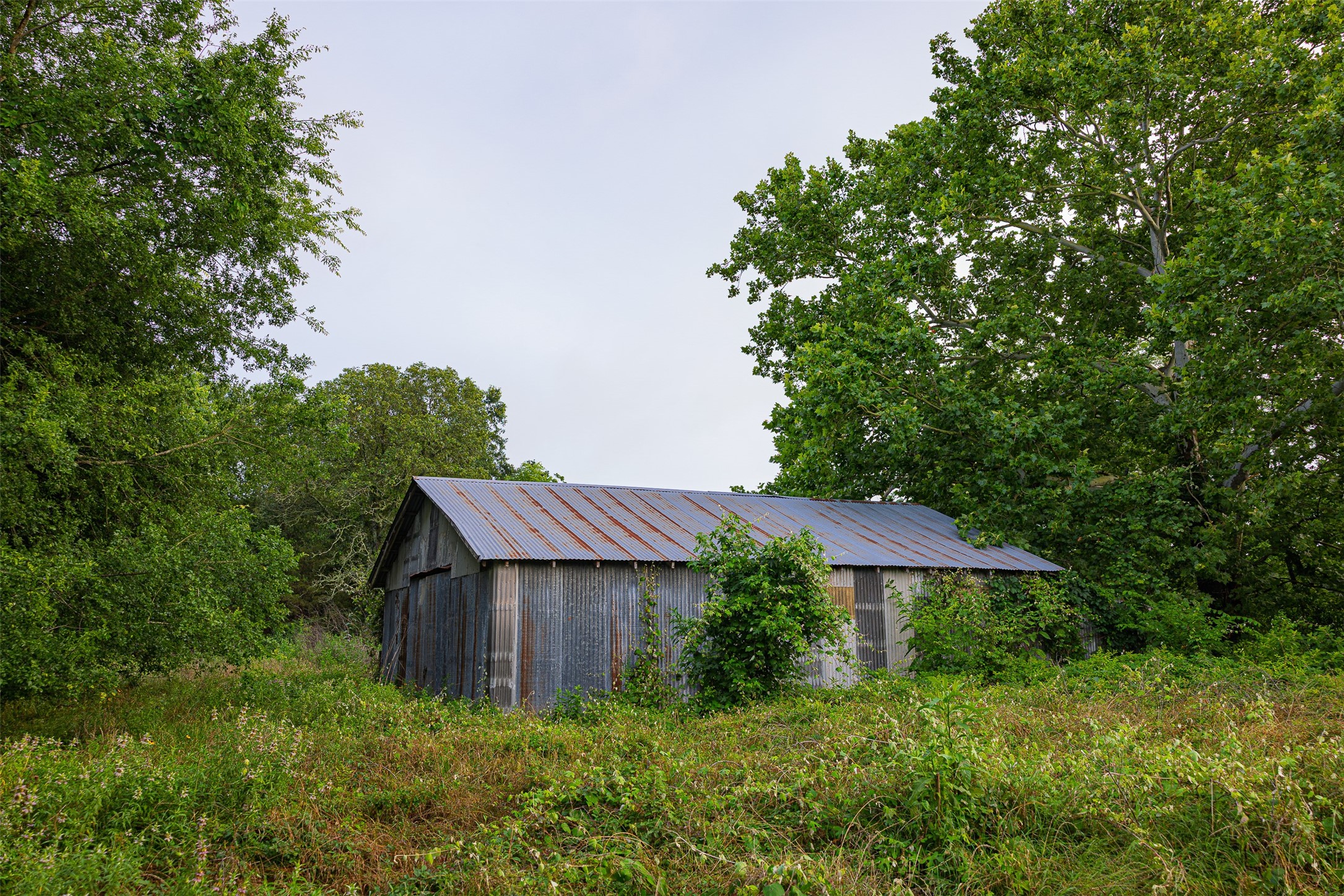 00 Anderson County Road 151