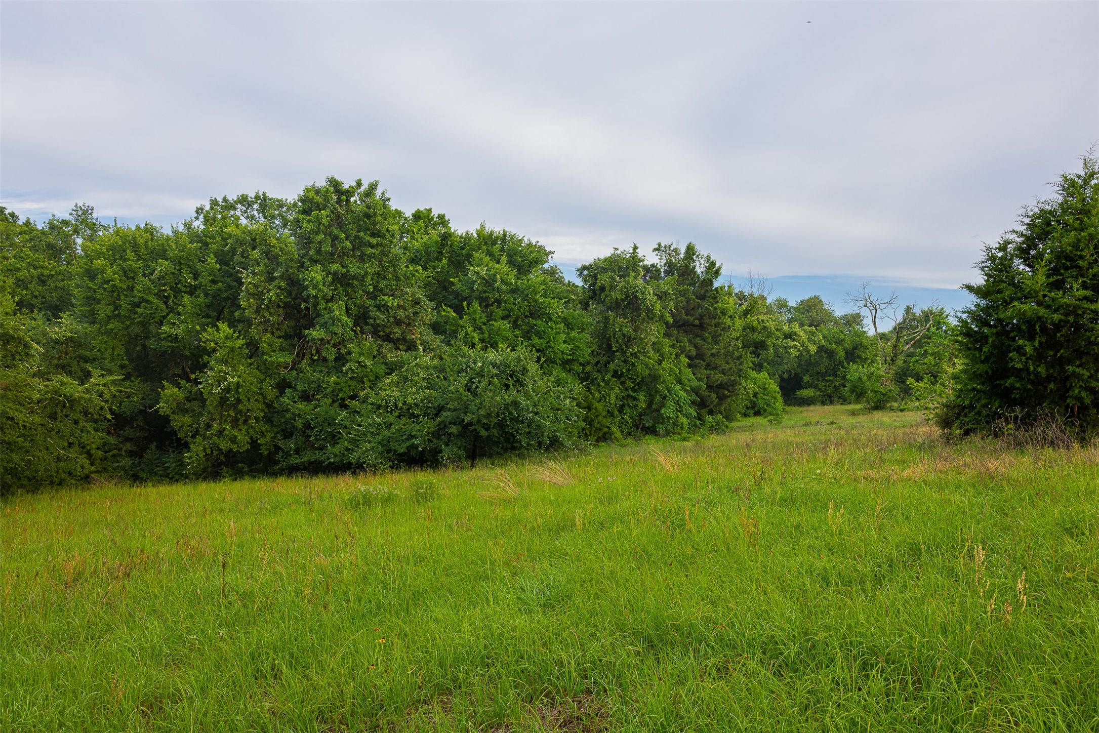 00 Anderson County Road 151