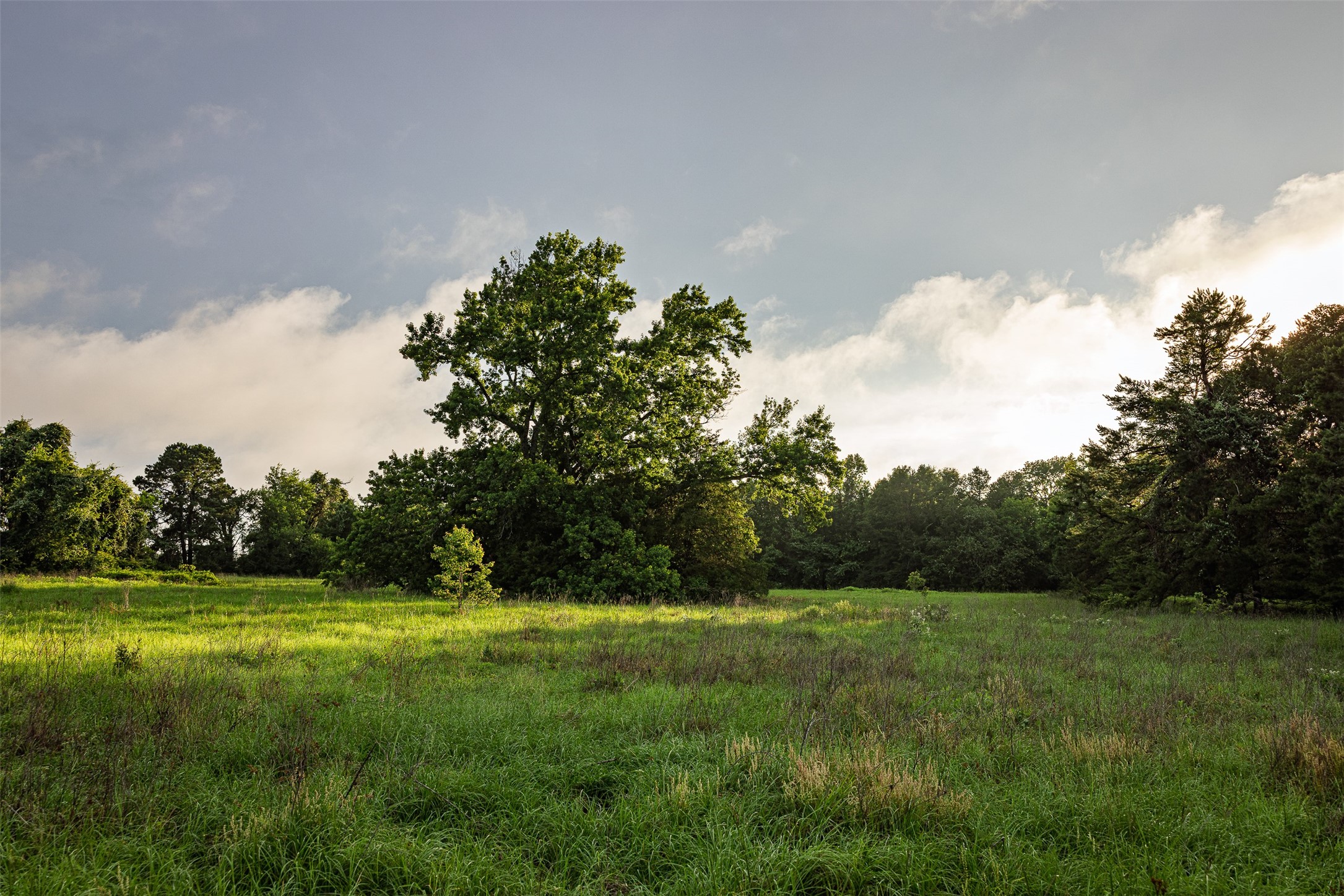 00 Anderson County Road 151