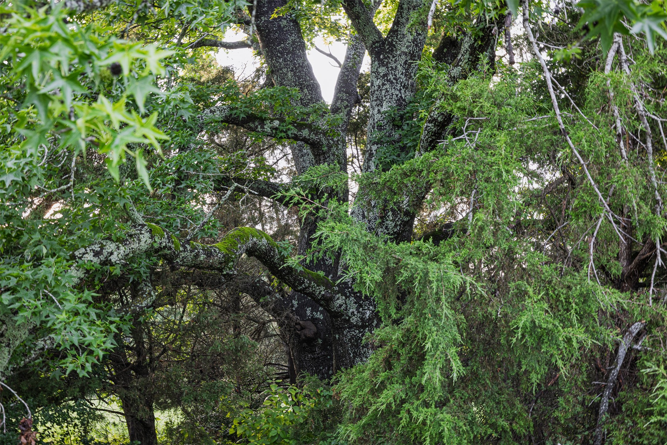 00 Anderson County Road 151