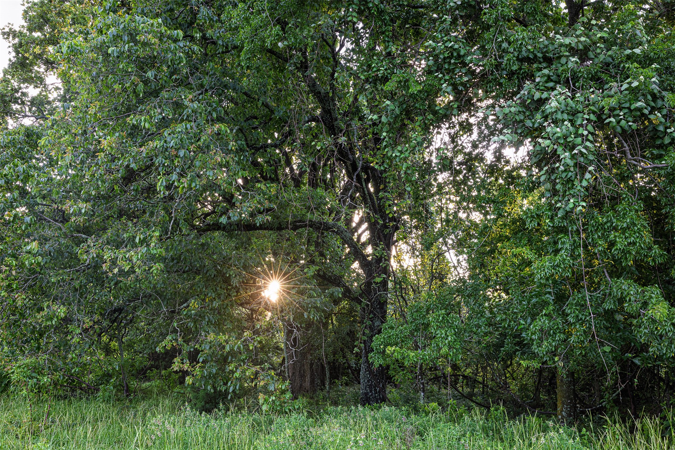 00 Anderson County Road 151