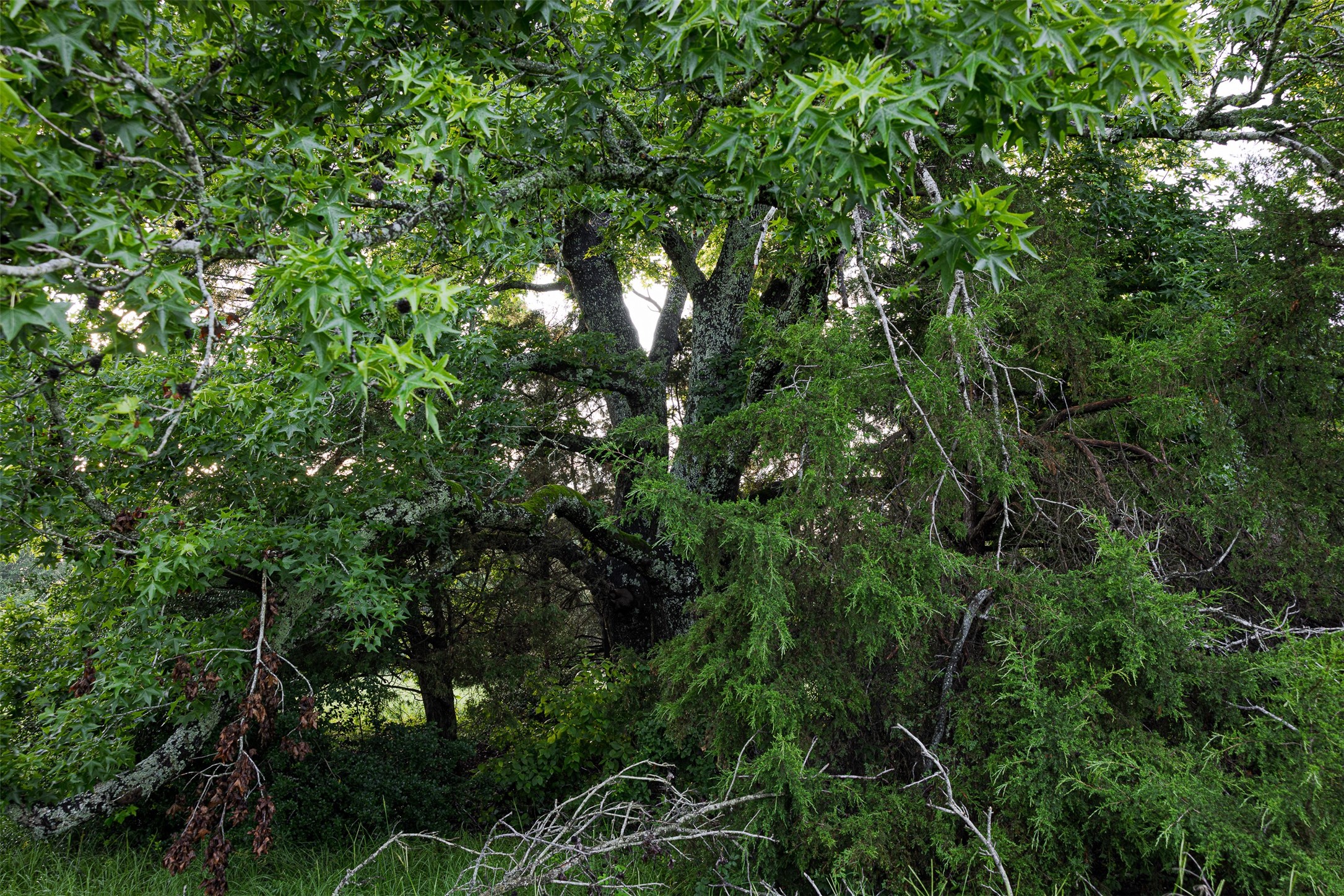 00 Anderson County Road 151