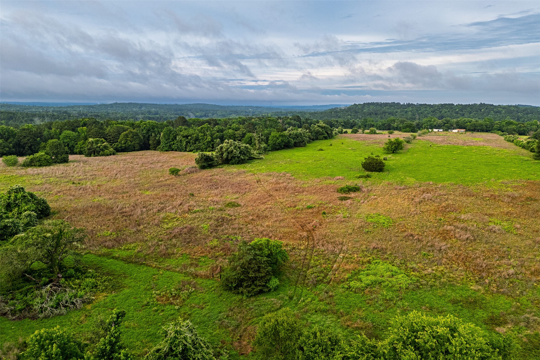 00 Anderson County Road 151