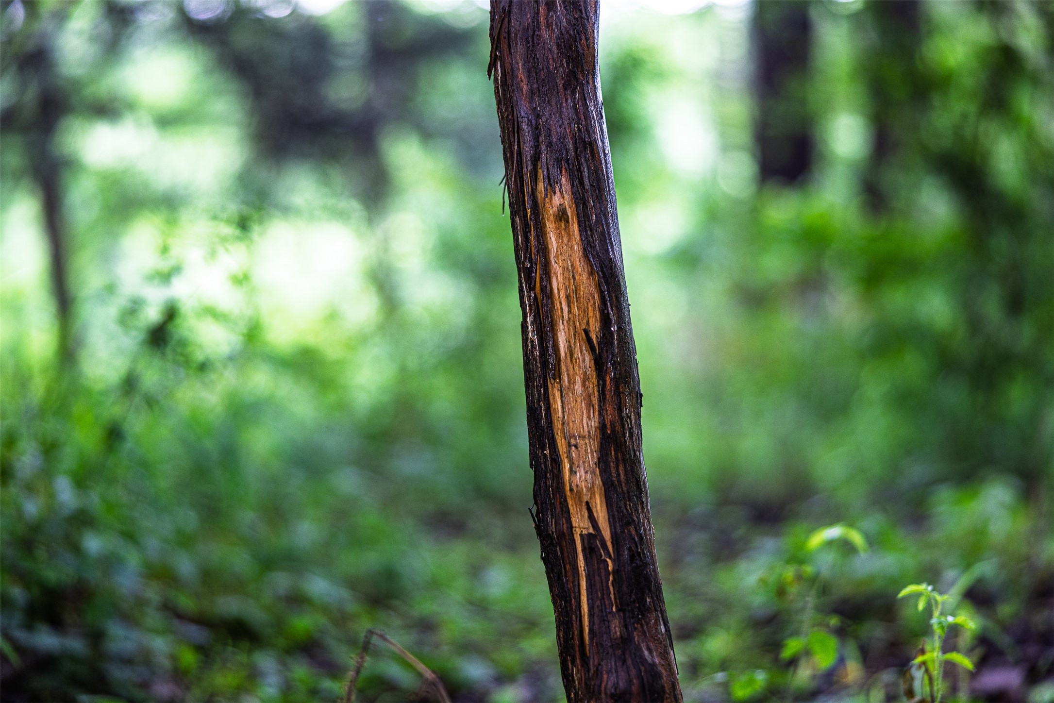 00 Anderson County Road 151