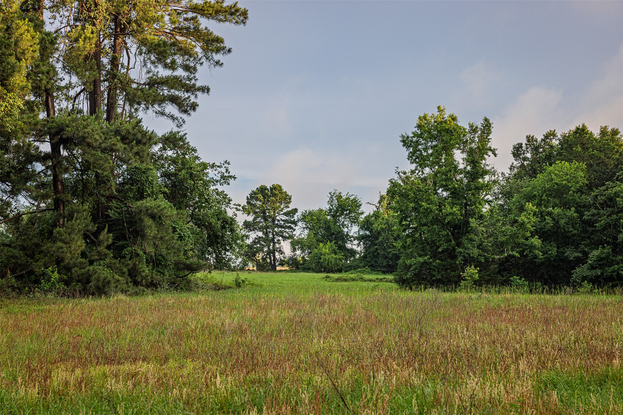 00 Anderson County Road 151