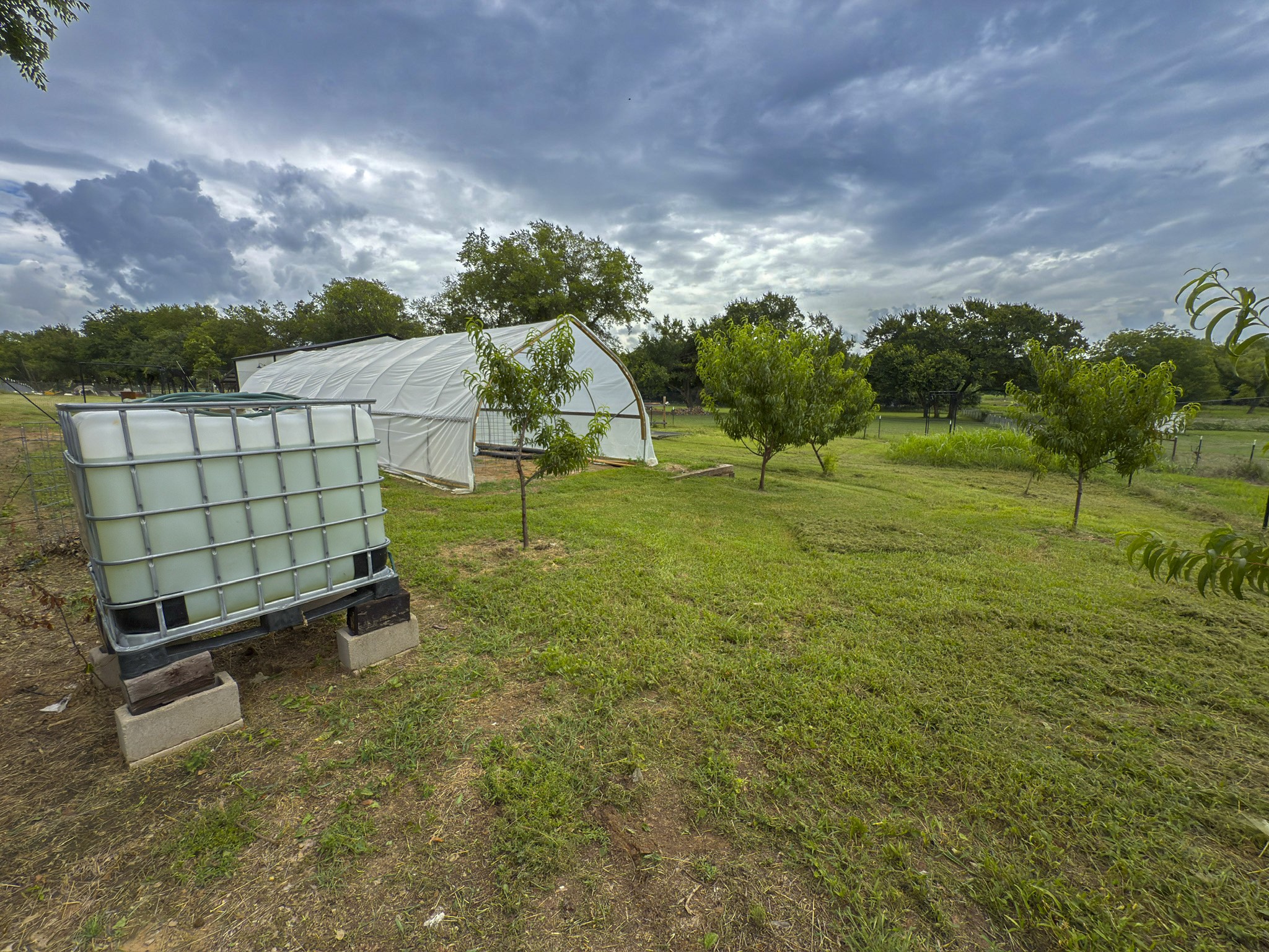 881 County Road 1380