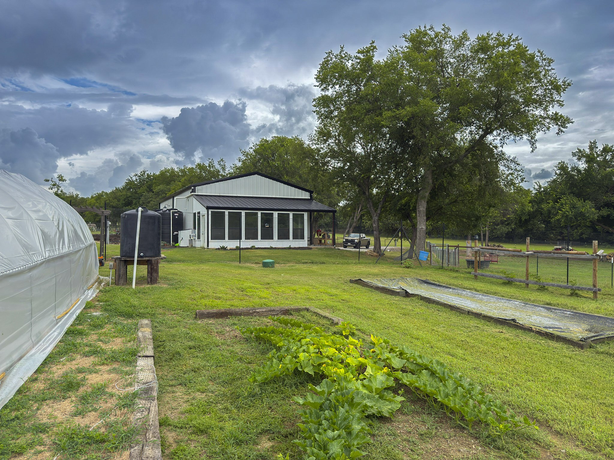 881 County Road 1380