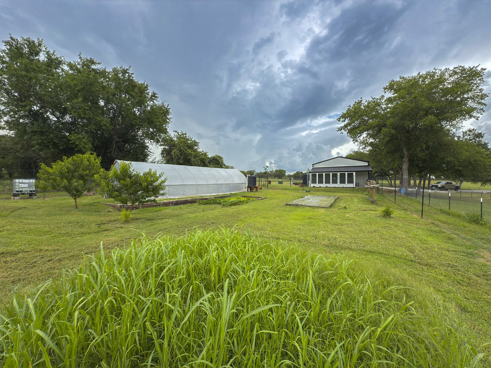 881 County Road 1380