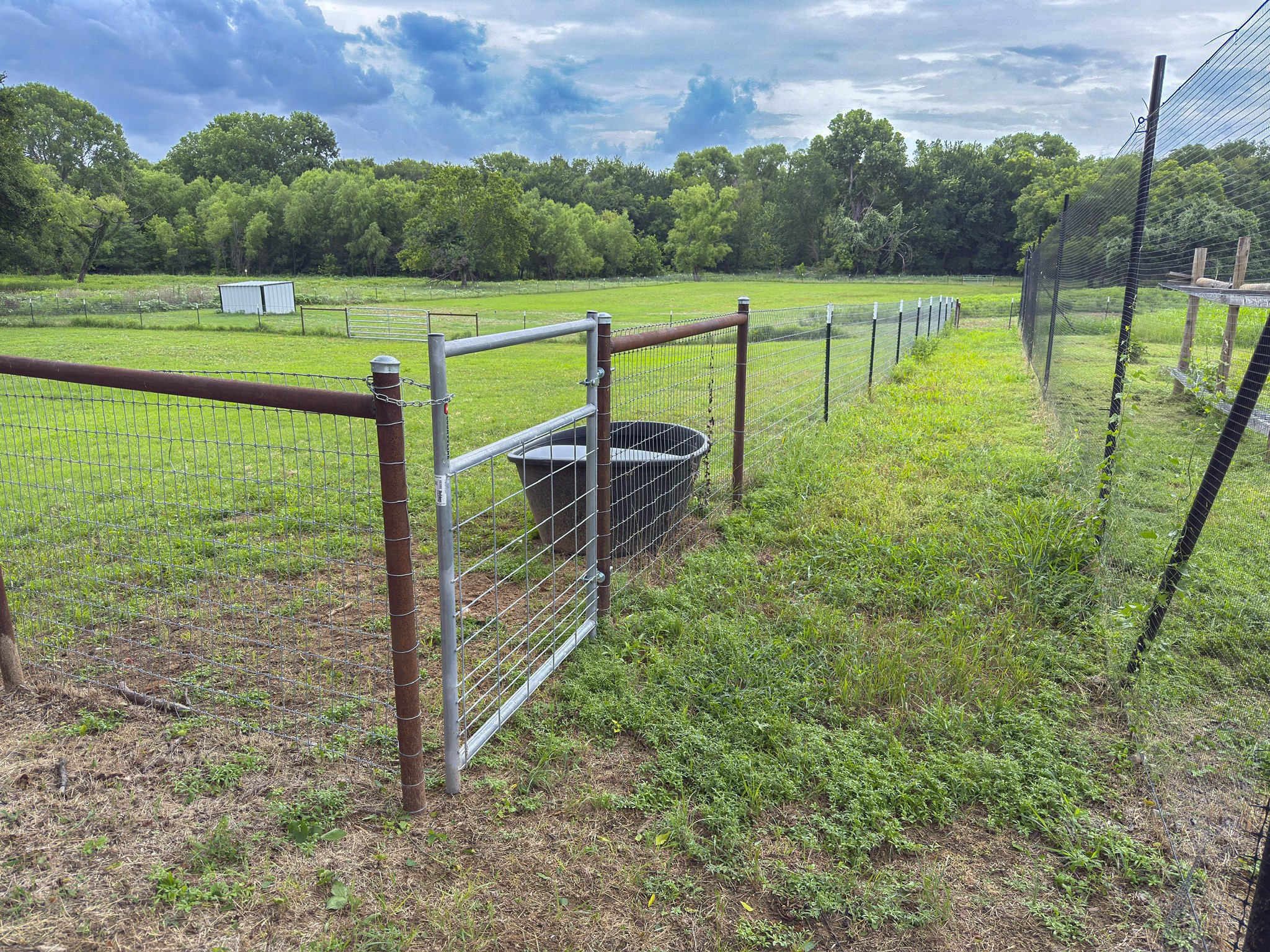 881 County Road 1380