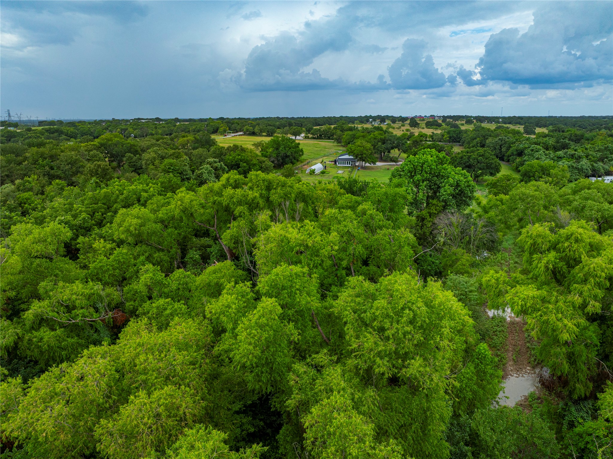 881 County Road 1380