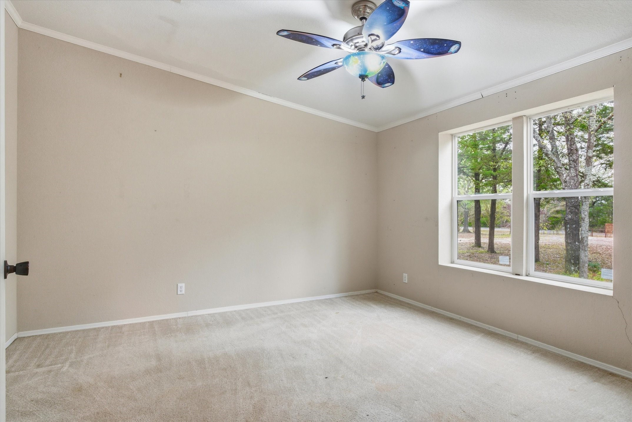 10218 County Road 313