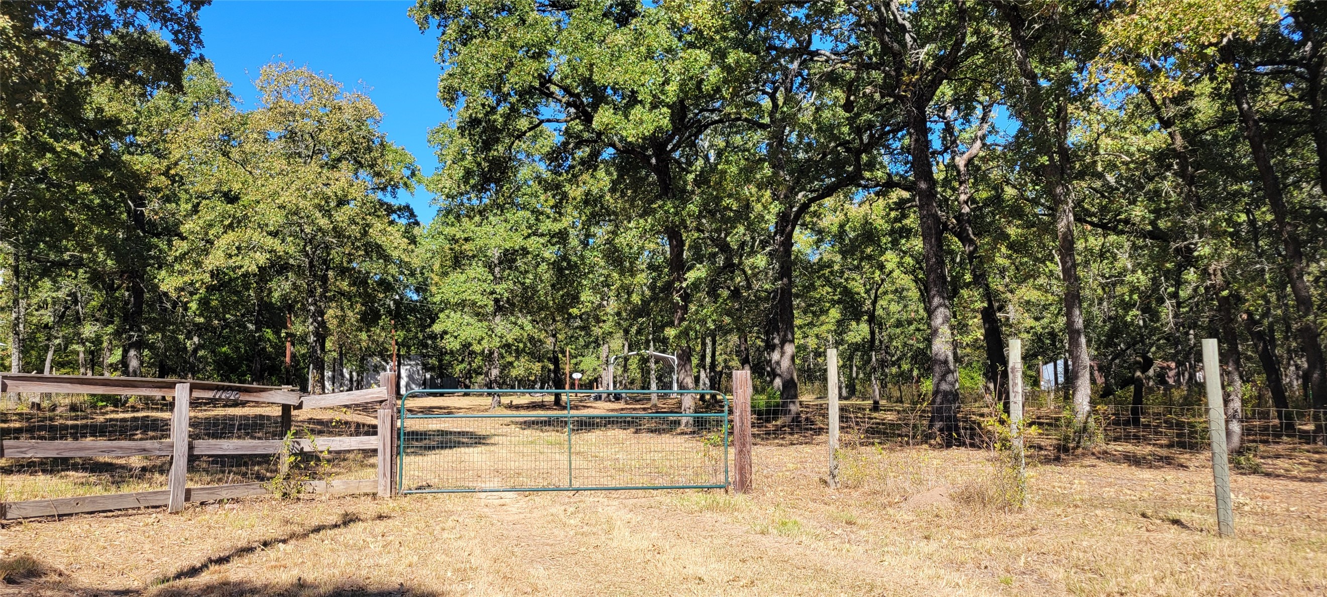 1196 Deer Lane